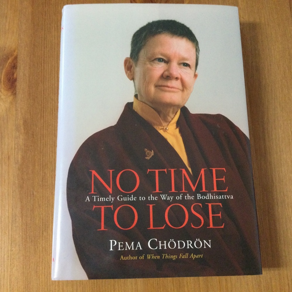 No Time To Lose Pemba Chodron Book Buddhism